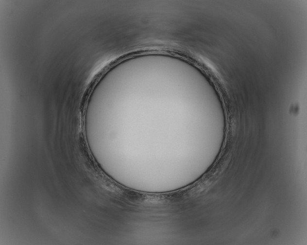 X0000090991267200708021155