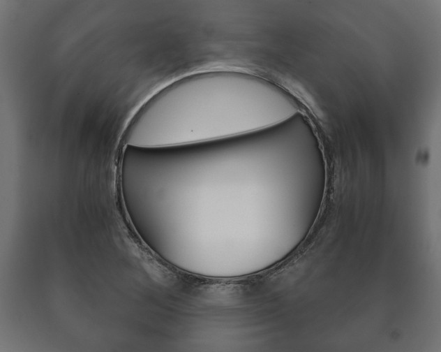 X0000090991268200708021155