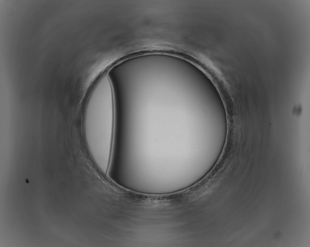 X0000090991269200708021155