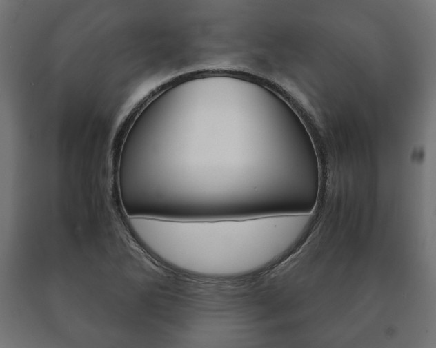 X0000090991270200708021155