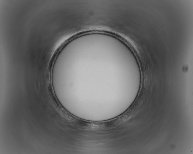 X0000090991271200708021155