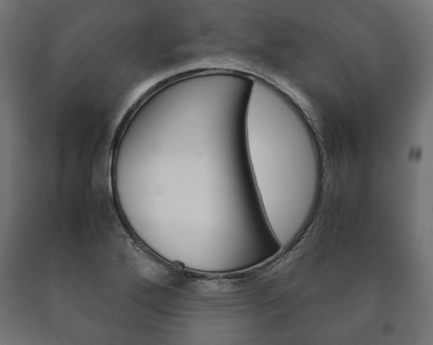 X0000090991272200708021155