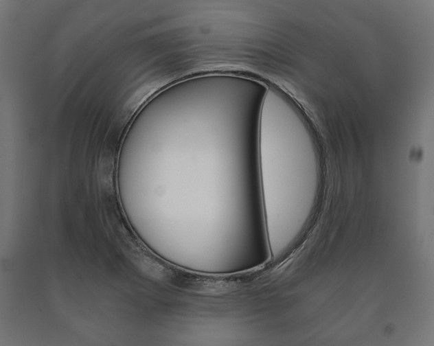 X0000090991273200708021155