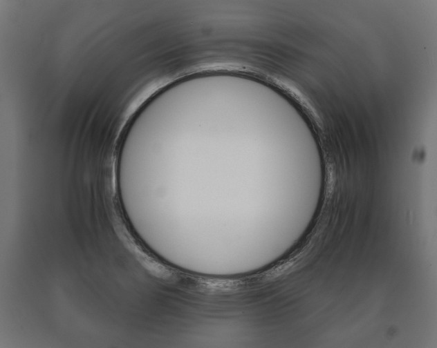 X0000090991274200708021155