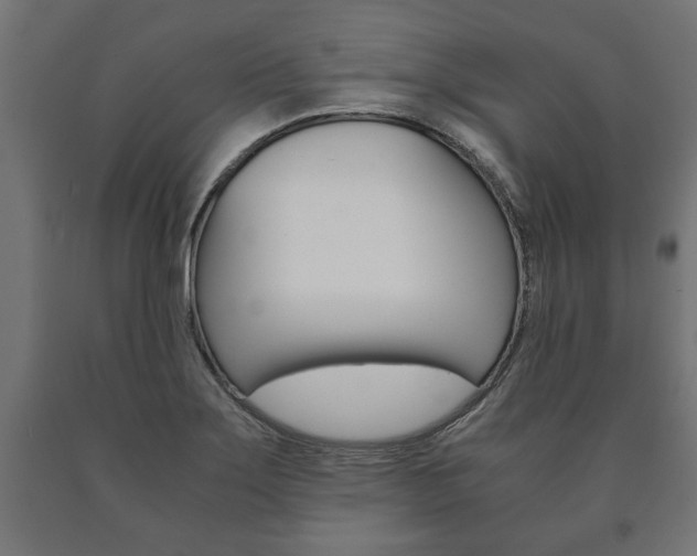 X0000090991275200708021155
