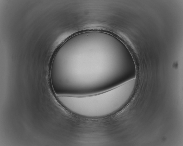 X0000090991277200708021155