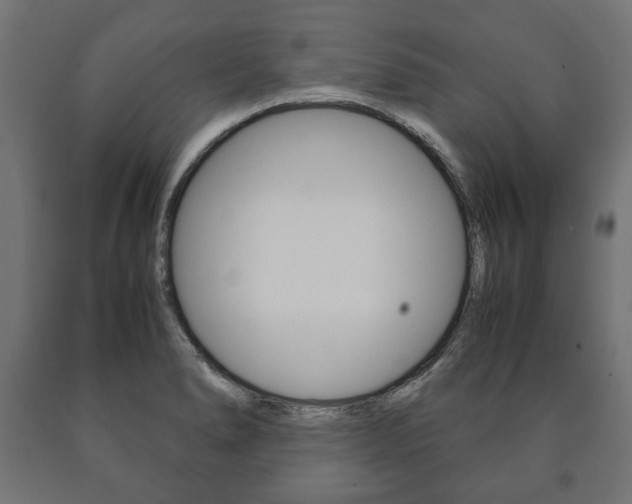 X0000090991278200708021155