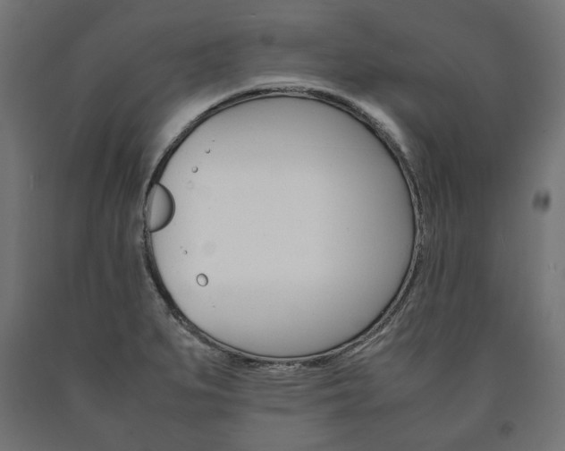 X0000090991279200708021155