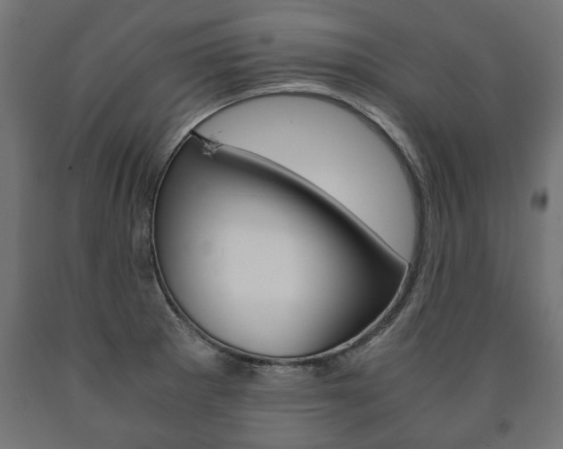 X0000090991281200708021155