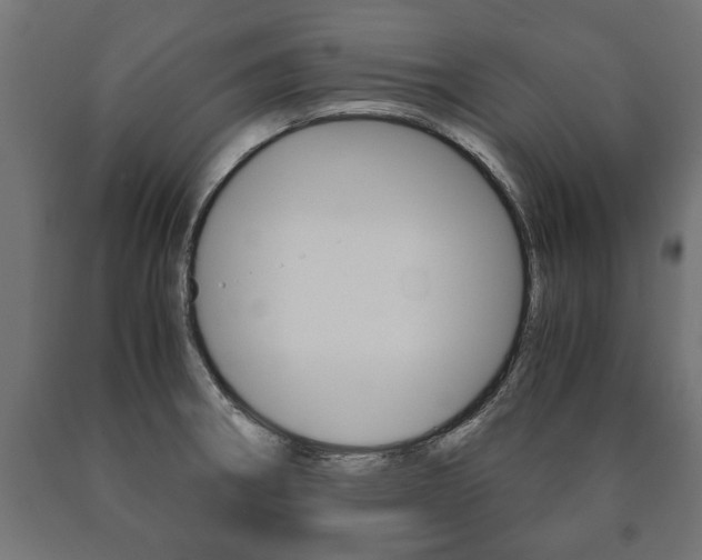 X0000090991282200708021155