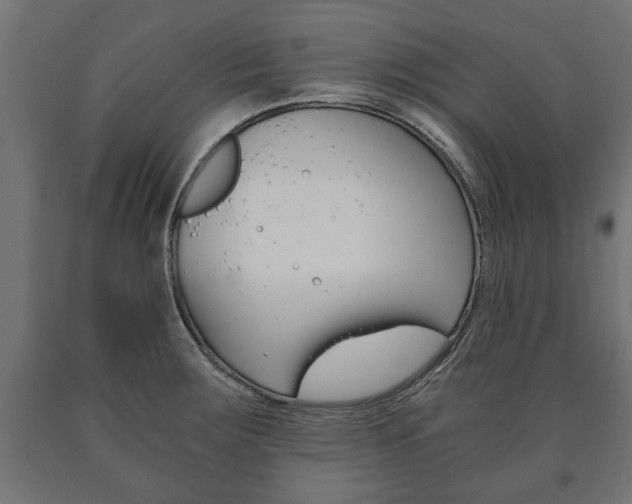 X0000090991283200708021155