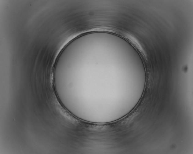 X0000090991284200708021155