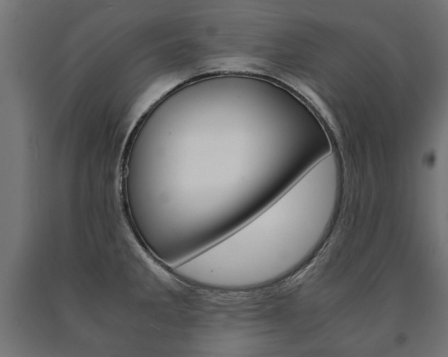 X0000090991285200708021155