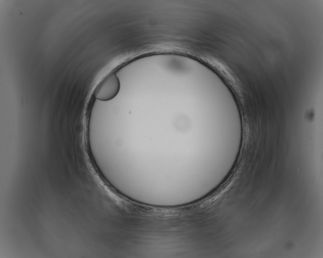 X0000090991286200708021155
