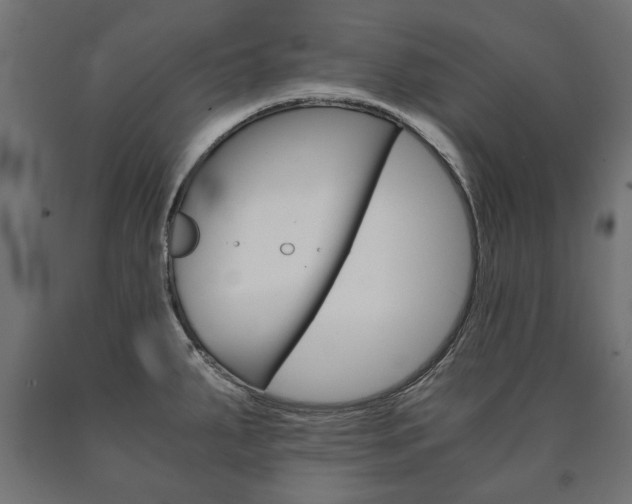 X0000090991287200708021155