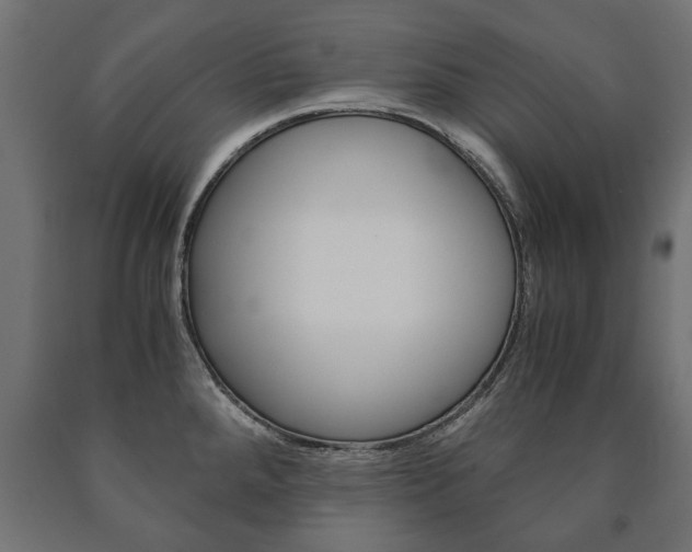 X0000090991288200708021155