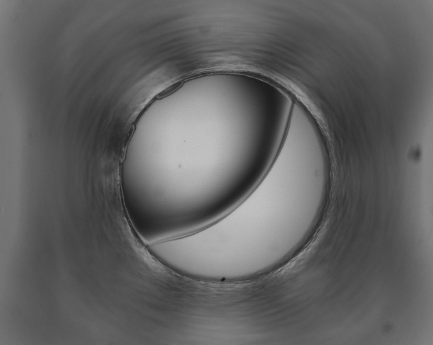 X0000090991289200708021155