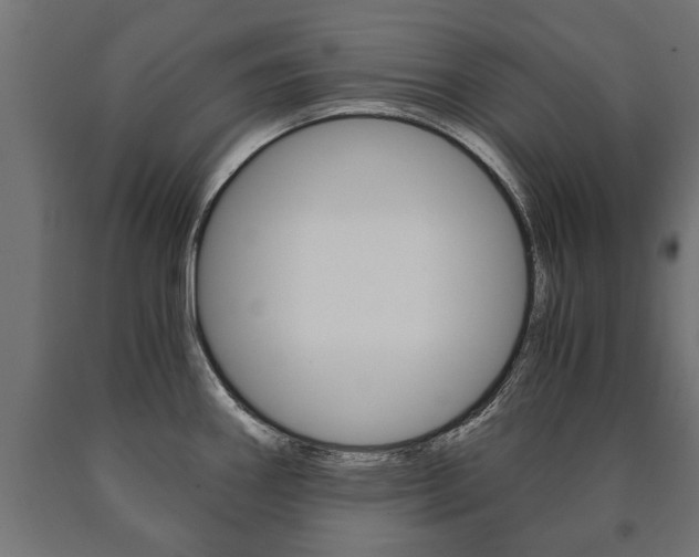 X0000090991290200708021155