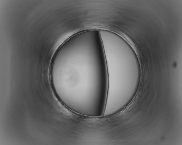 X0000090991293200708021155