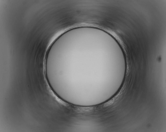 X0000090991294200708021155