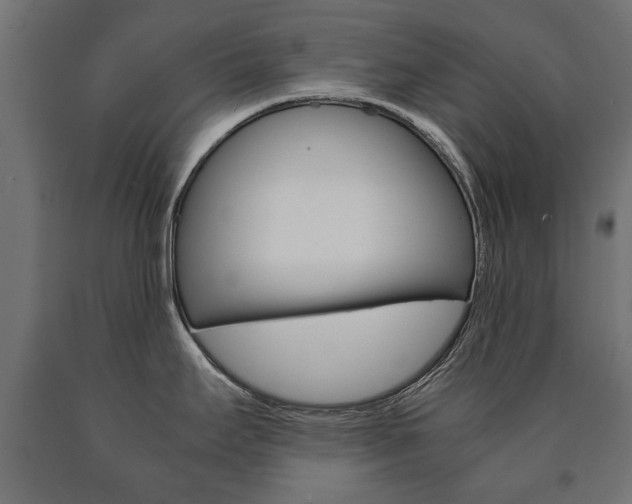 X0000090991295200708021155
