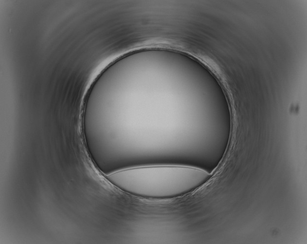 X0000090991296200708021155