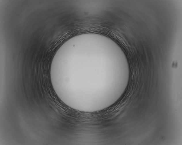 X0000090991298200708021154