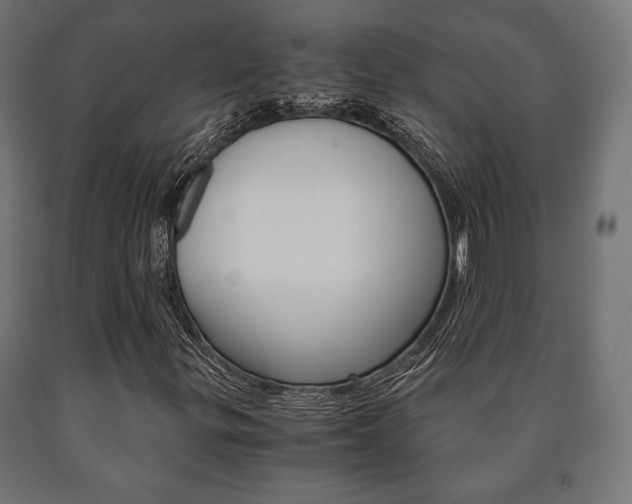 X0000090991299200708021154