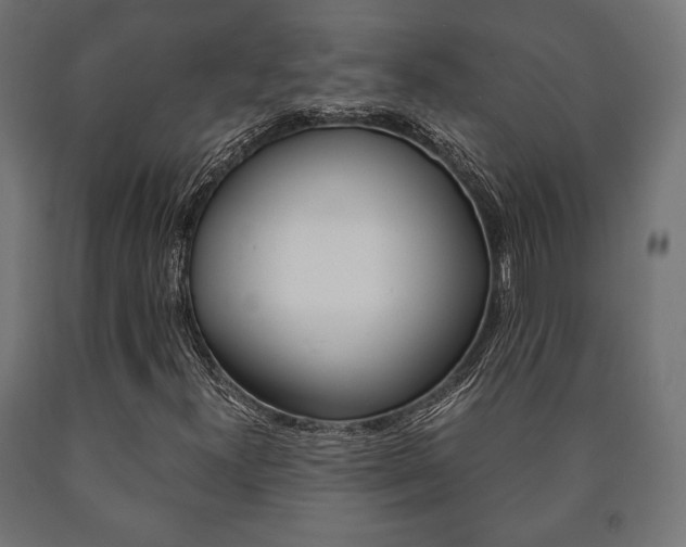 X0000090991300200708021154