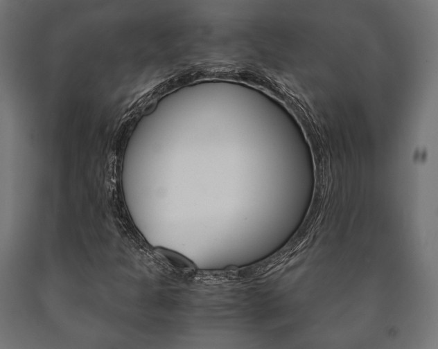X0000090991301200708021154