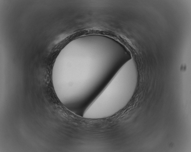 X0000090991303200708021154