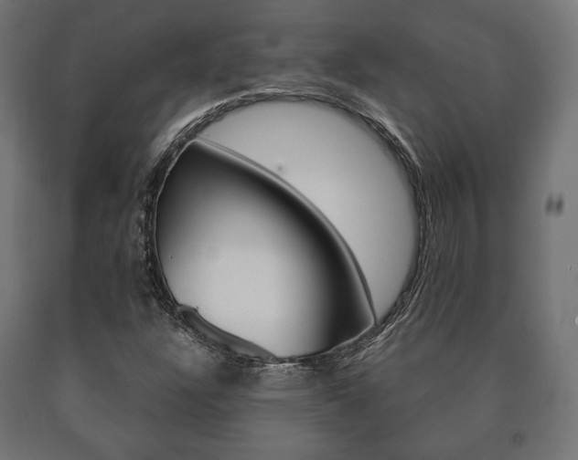 X0000090991304200708021154