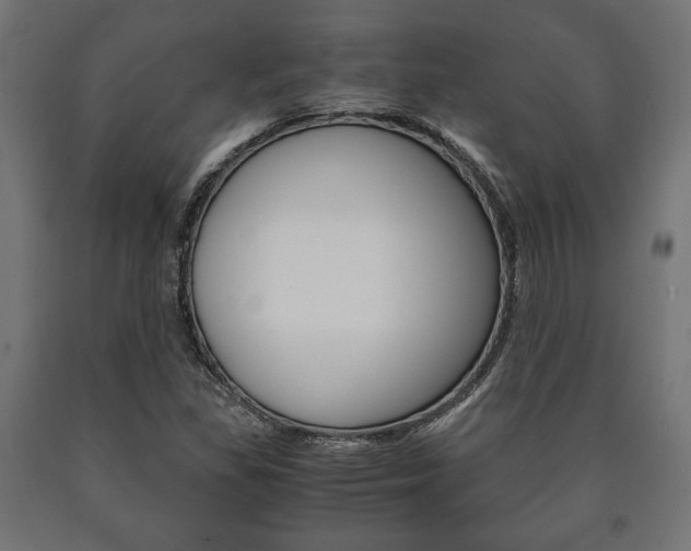 X0000090991309200708021154