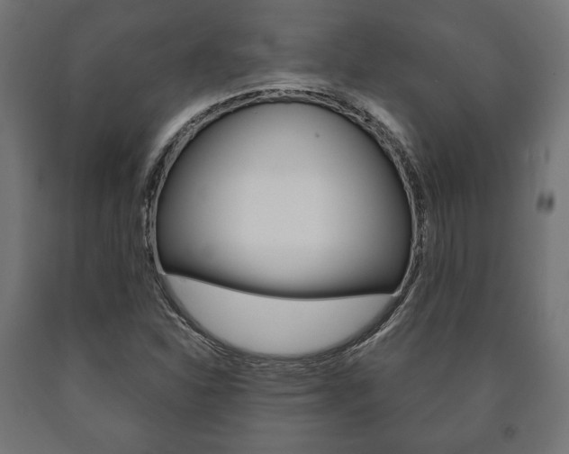 X0000090991310200708021154