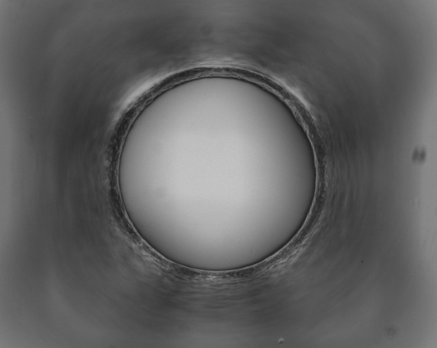 X0000090991311200708021154