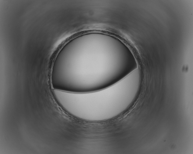 X0000090991312200708021154