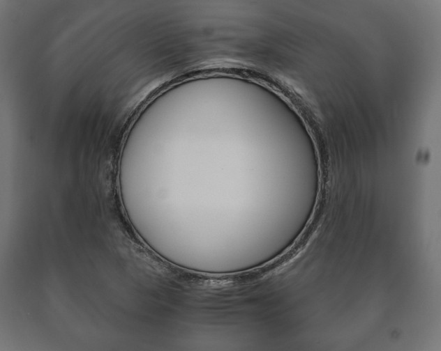 X0000090991313200708021154