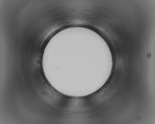 X0000090991314200708021154