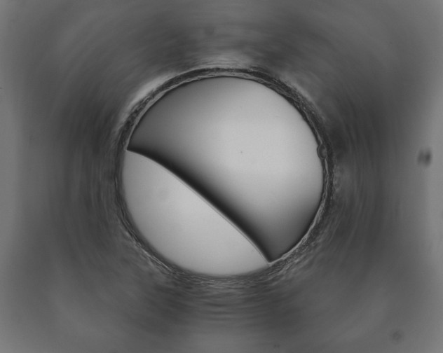 X0000090991315200708021154