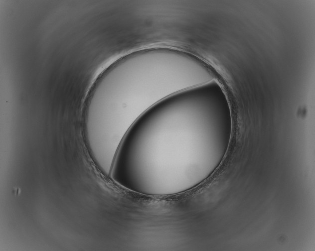 X0000090991316200708021154