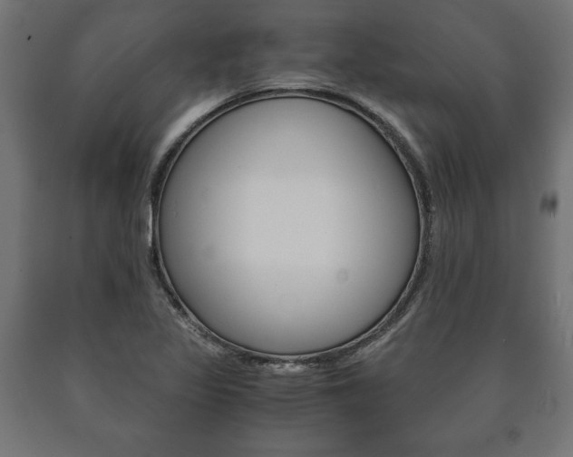 X0000090991317200708021154