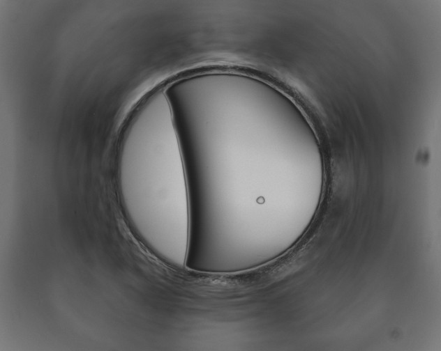 X0000090991318200708021154
