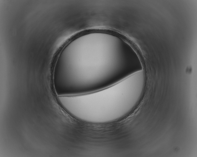 X0000090991319200708021154