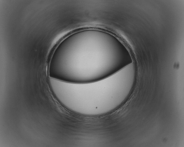 X0000090991320200708021154