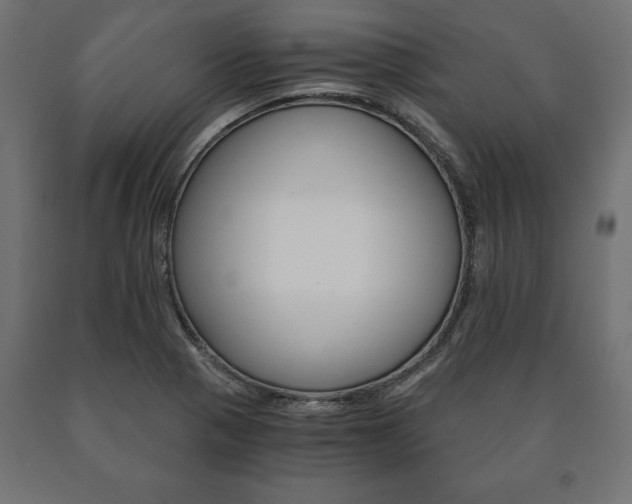 X0000090991321200708021154