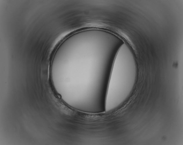 X0000090991323200708021154