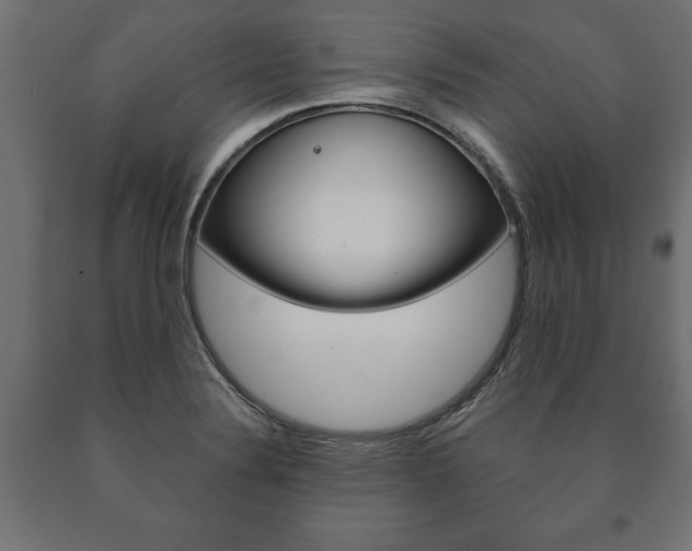 X0000090991324200708021154