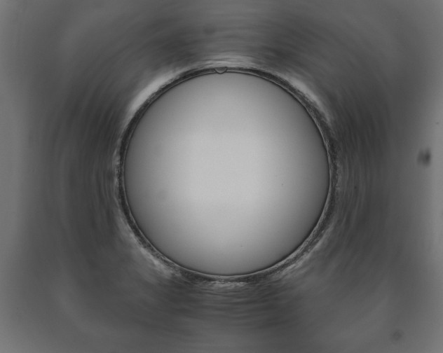 X0000090991325200708021154