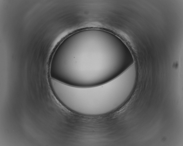 X0000090991326200708021154