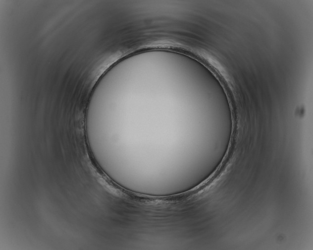 X0000090991329200708021155
